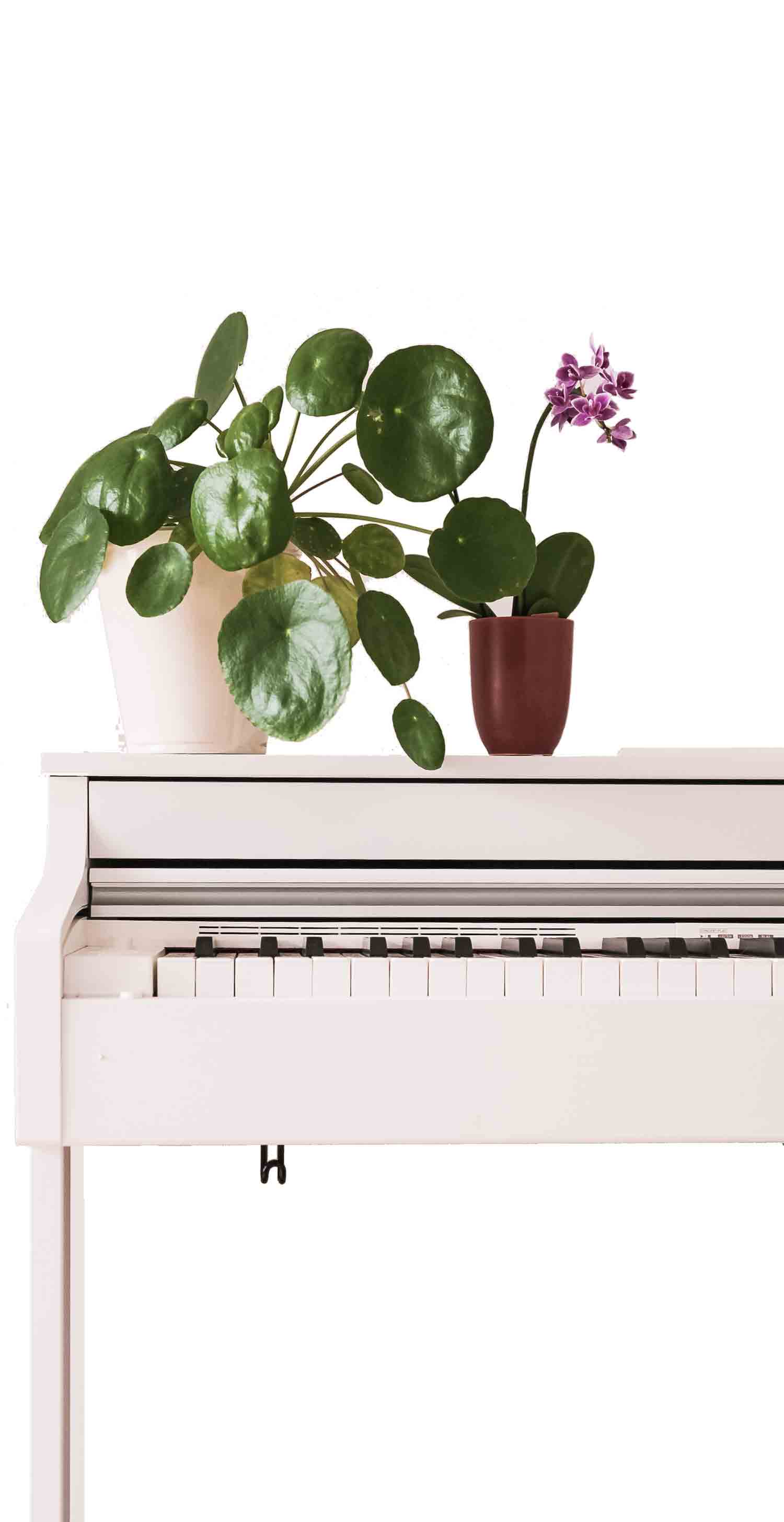 белое фортепиано